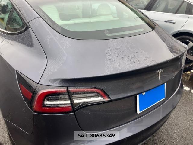 Tesla MODEL 3 2021-12 8882619-3