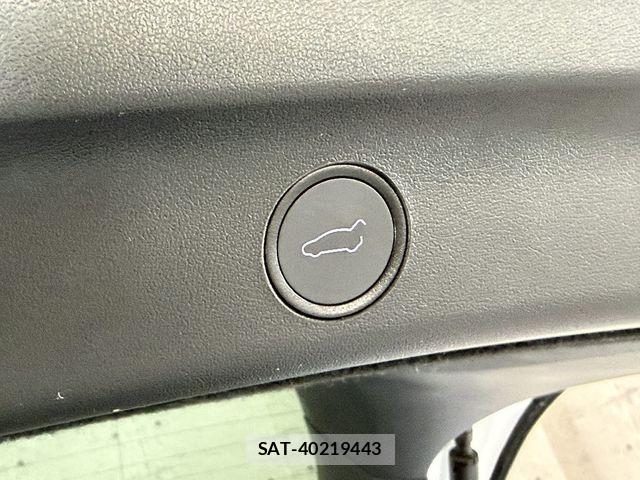Tesla MODEL Y 2023-07 7789871-13