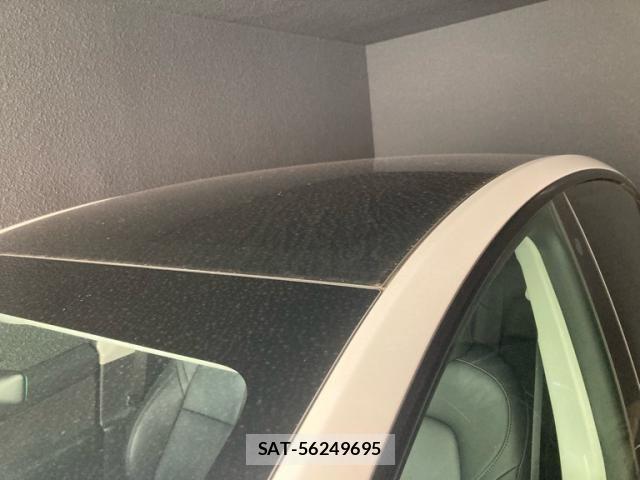Tesla MODEL Y 2023-11 8372290-13