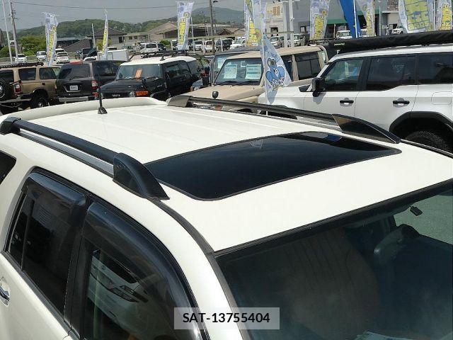 Toyota HILUX SURF 2009-01 8102339-13