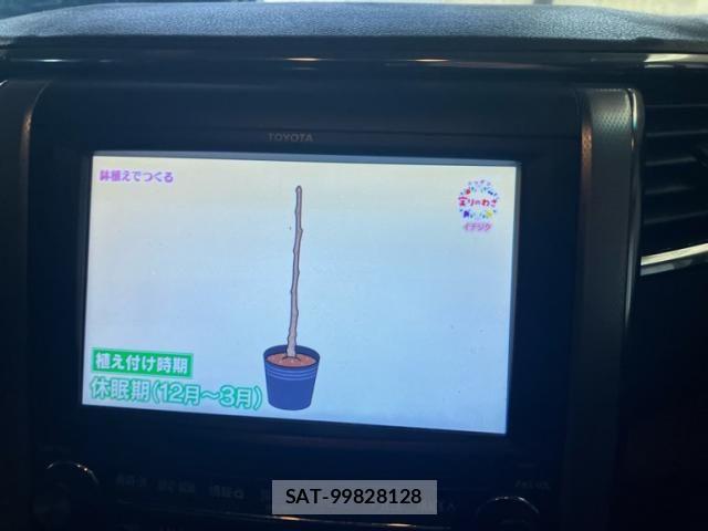 Toyota VELLFIRE 2008-05 8746445-22