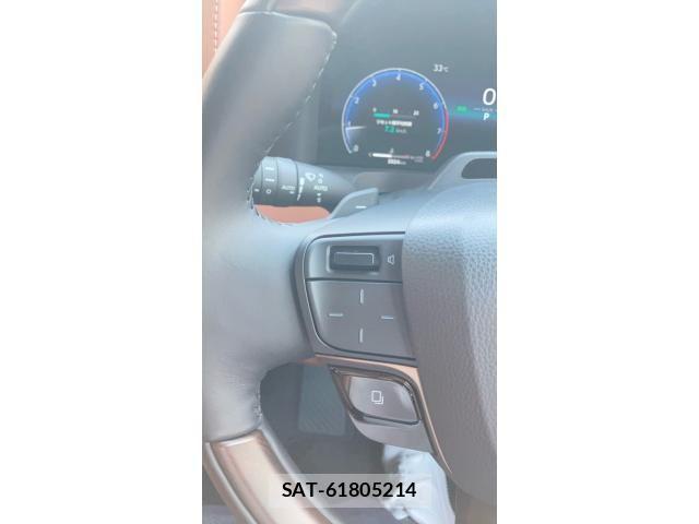 Toyota VELLFIRE 2024-04 7458530-11