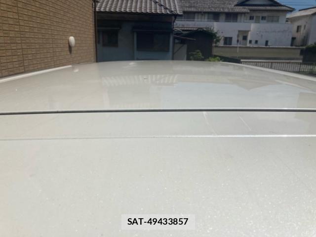 Toyota VELLFIRE 2010-03 8038924-4