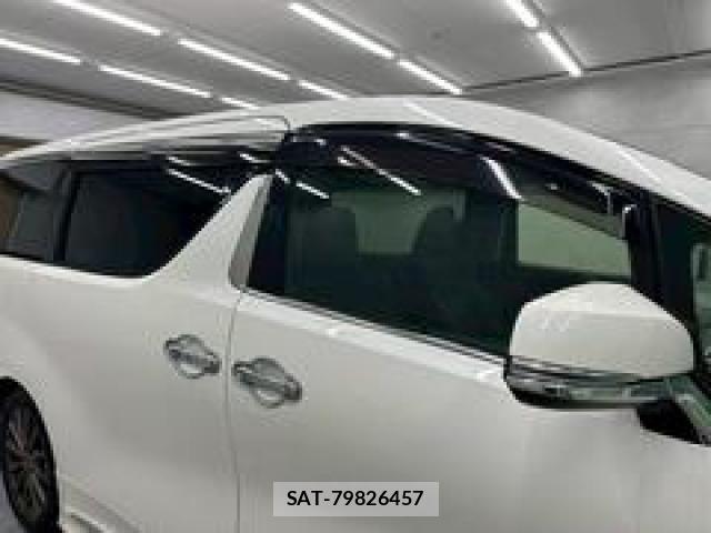Toyota VELLFIRE 2017-07 8102399-21