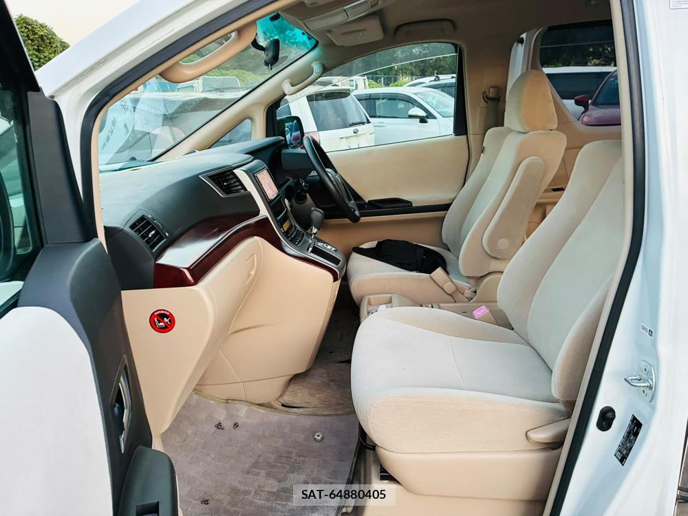 Toyota VELLFIRE 2010 8252230-10