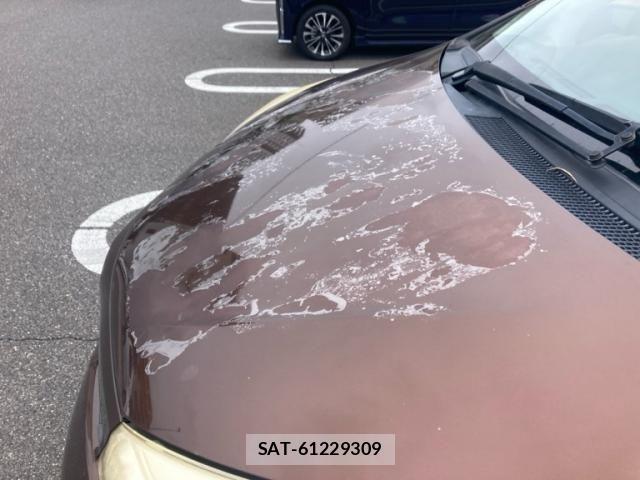 Toyota VITZ 2011-12 8338385-7