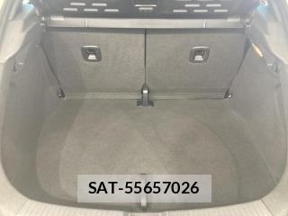 VolksWagen THE BEETLE 2019-07 7137256-11
