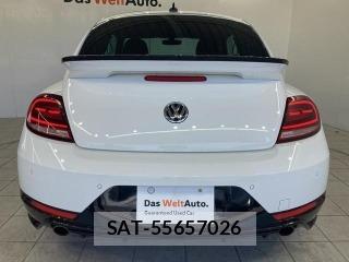 VolksWagen THE BEETLE 2019-07 7137256-16