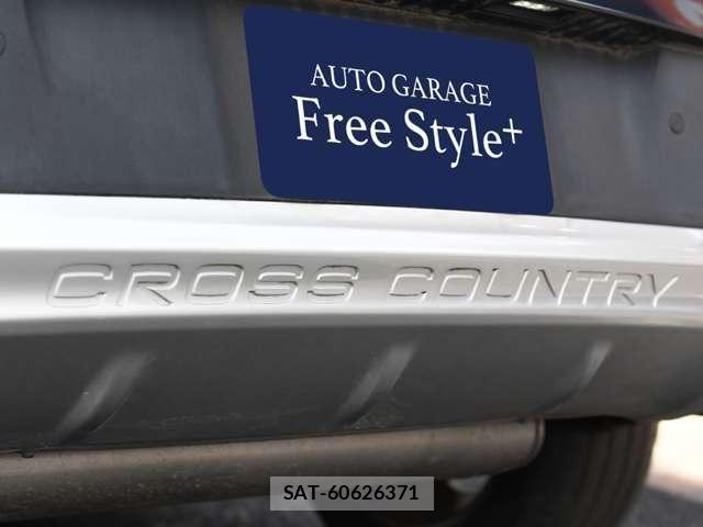 Volvo CROSS COUNTRY 2015-06 7458680-15