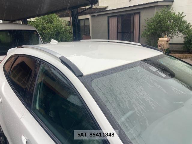 Volvo CROSS COUNTRY 2014-01 8746669-8
