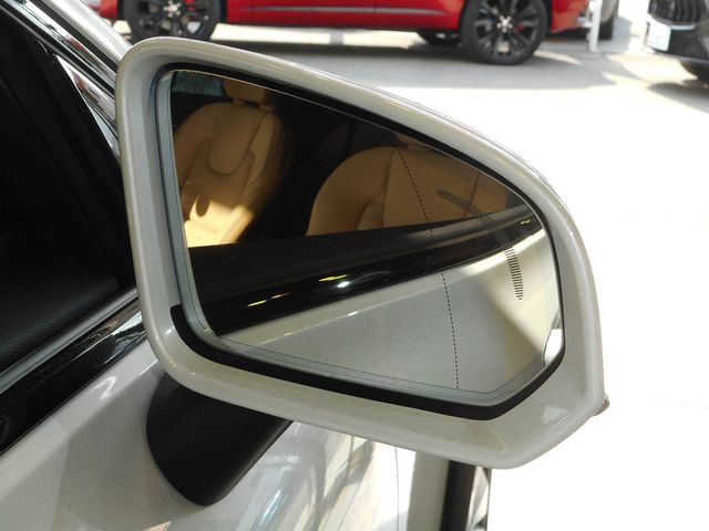 Volvo CROSS COUNTRY 2025-03 3687003-22