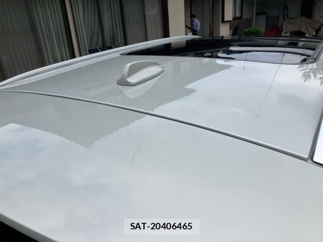 Volvo CROSS COUNTRY 2019-03 7880337-23