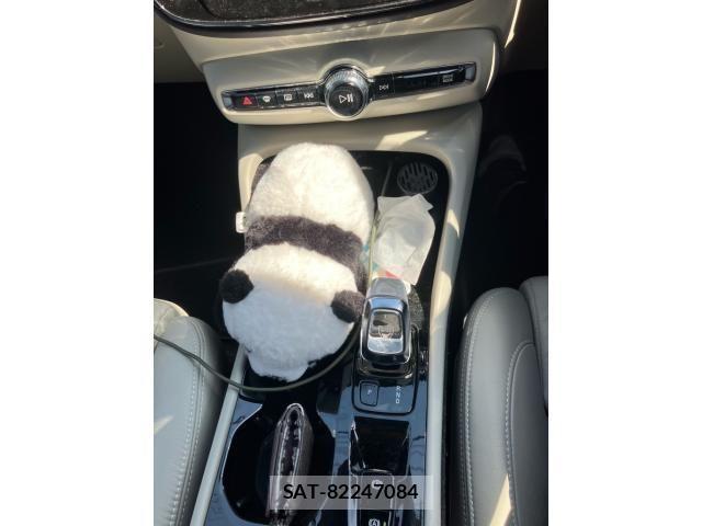 Volvo XC40 2020-03 7330996-17