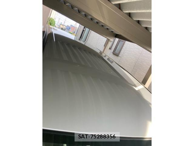 Toyota VOXY 2007-10 7393717-4