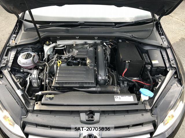 VolksWagen GOLF 2013-08 8318062-9