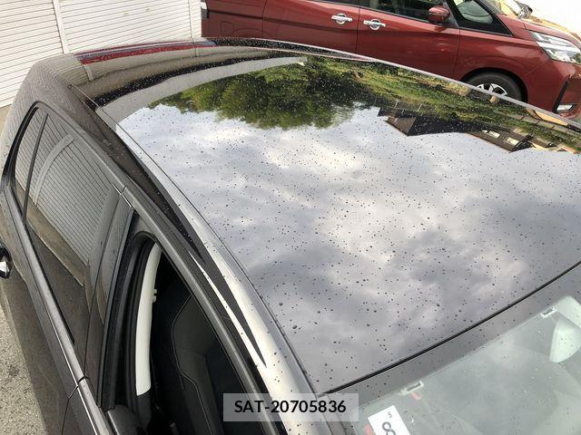 VolksWagen GOLF 2013-08 8318062-13