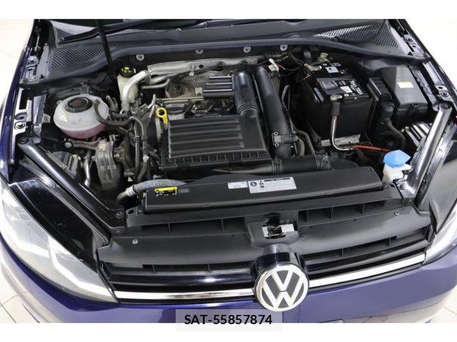 VolksWagen GOLF 2019-08 8338499-12