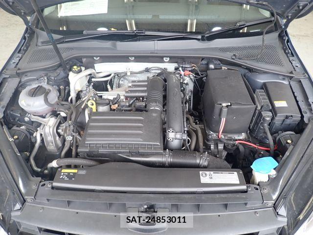 VolksWagen GOLF 2013-08 8746818-21