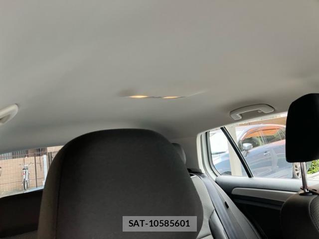 VolksWagen GOLF 2014-01 8662401-13