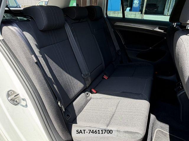 VolksWagen GOLF ALLTRACK 2016-09 6615689-22