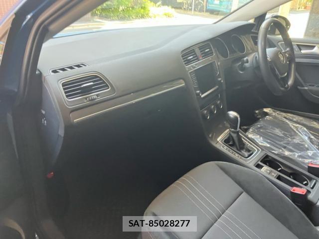 VolksWagen GOLF ALLTRACK 2016-09 8132984-10