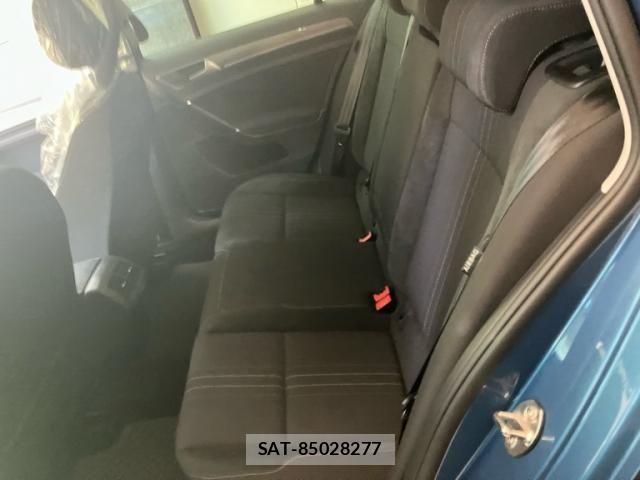 VolksWagen GOLF ALLTRACK 2016-09 8132984-13