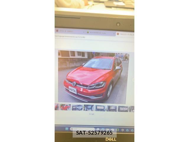VolksWagen GOLF ALLTRACK 2017-09 8318066-0