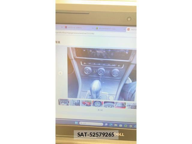 VolksWagen GOLF ALLTRACK 2017-09 8318066-6