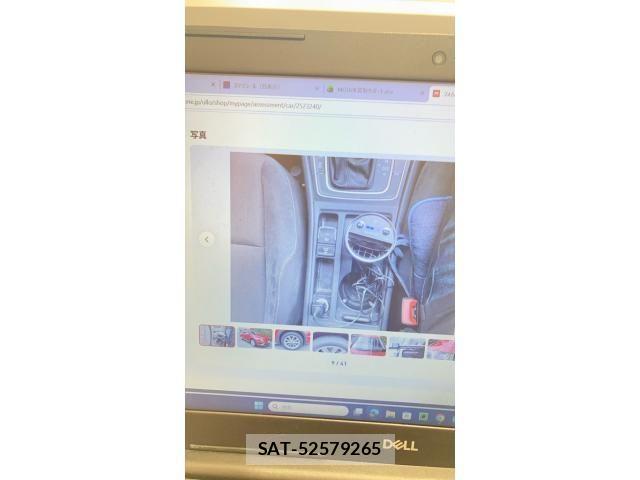 VolksWagen GOLF ALLTRACK 2017-09 8318066-7