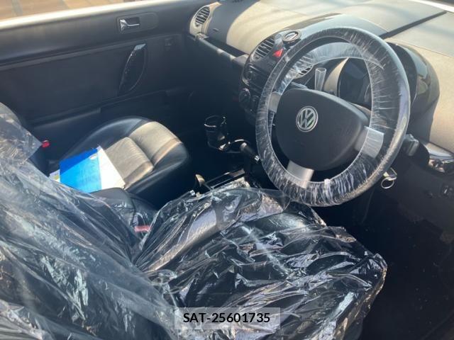 VolksWagen NEW BEETLE 2006-05 8318087-10