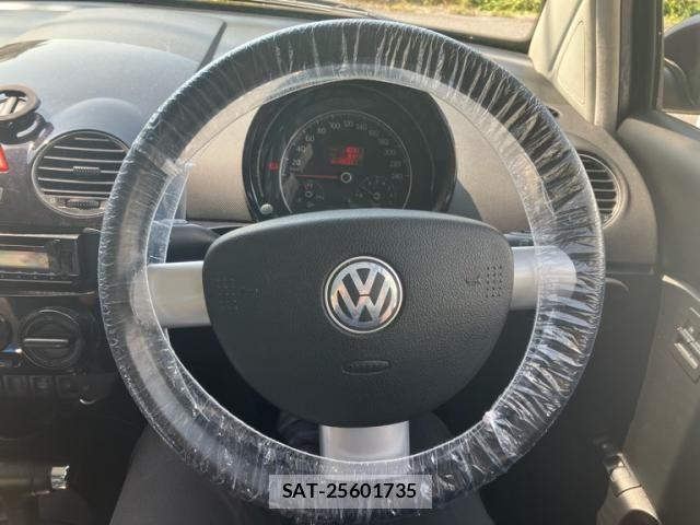 VolksWagen NEW BEETLE 2006-05 8318087-13