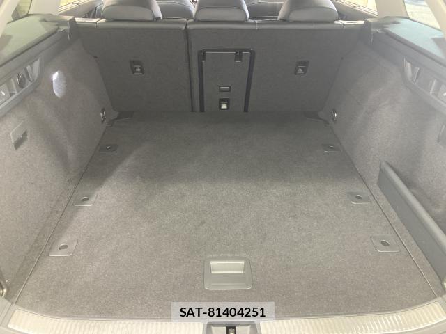 VolksWagen PASSAT WAGON 2025-10 7981573-12
