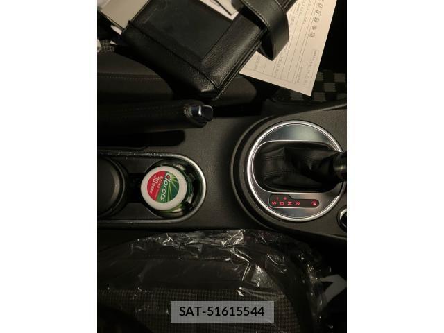 VolksWagen THE BEETLE 2013-03 3911326-14