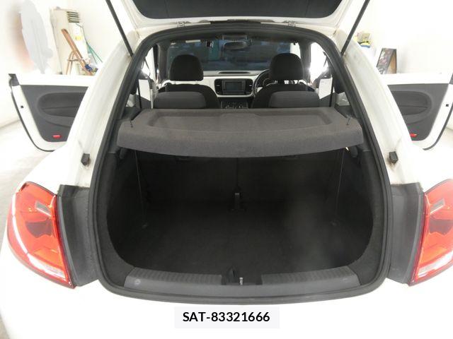 VolksWagen THE BEETLE 2013-04 6678792-18