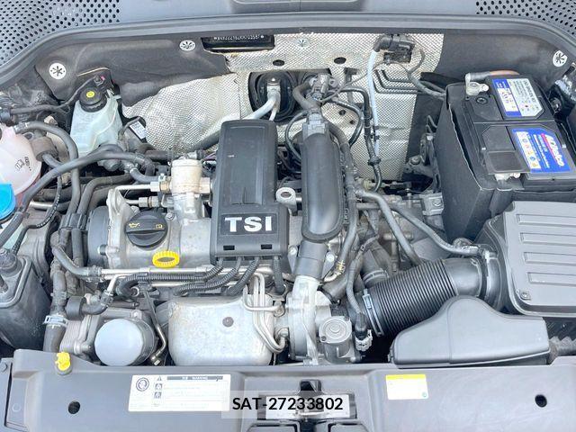 VolksWagen THE BEETLE 2018-11 7227163-19