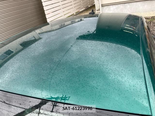 VolksWagen THE BEETLE 2018-03 7273270-19