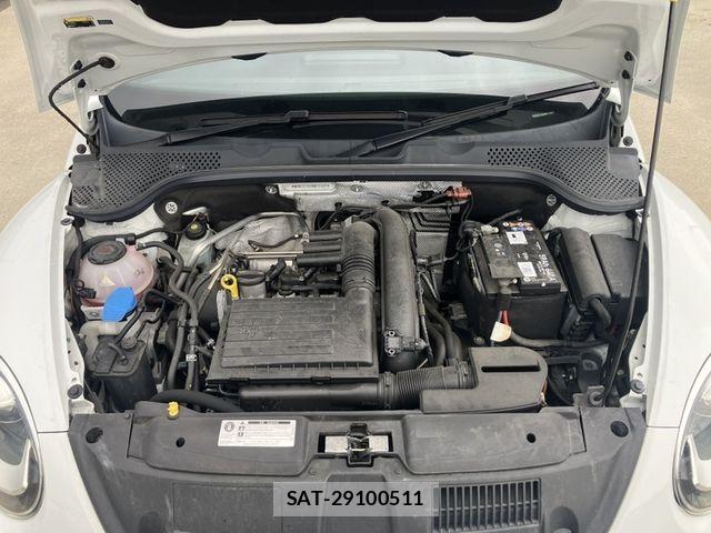 VolksWagen THE BEETLE 2019-09 7360496-13