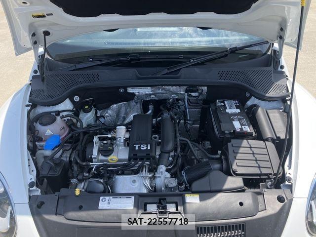 VolksWagen THE BEETLE 2019-09 7394871-13