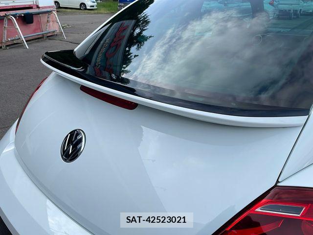 VolksWagen THE BEETLE 2017-06 7621361-11