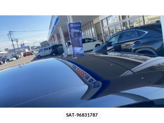 VolksWagen THE BEETLE 2017-07 7730759-8