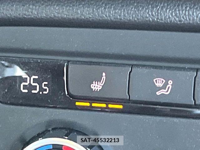 VolksWagen THE BEETLE 2013-08 7790526-5
