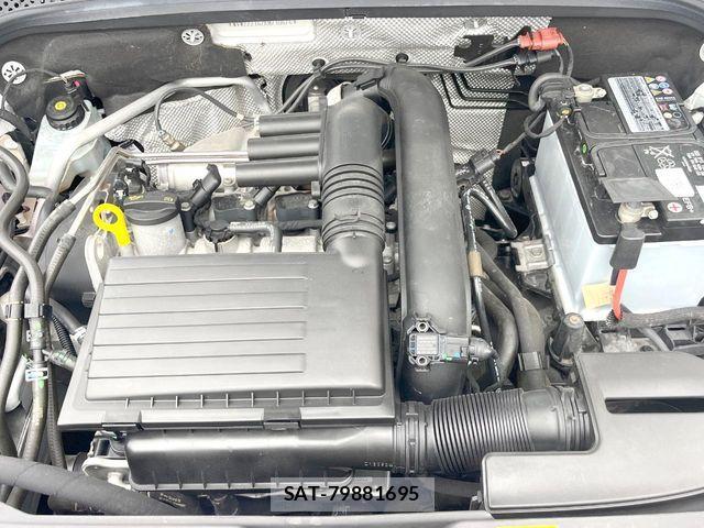 VolksWagen THE BEETLE 2019-03 7790532-19