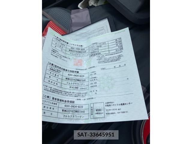 VolksWagen THE BEETLE 2013-11 8039212-20
