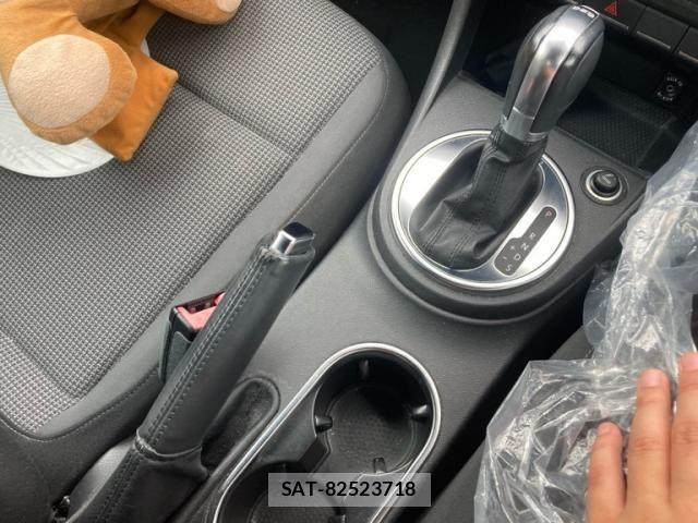 VolksWagen THE BEETLE 2014-02 8039213-19