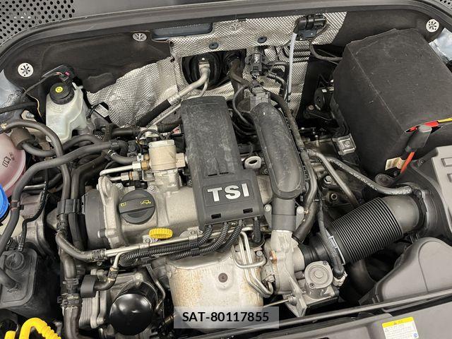 VolksWagen THE BEETLE 2017-01 8528239-12