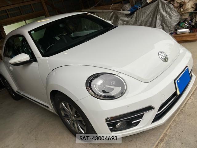 VolksWagen THE BEETLE 2018-03 8662446-2