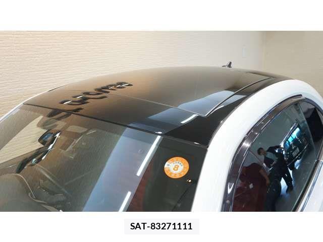 VolksWagen THE BEETLE 2019-09 8746888-4