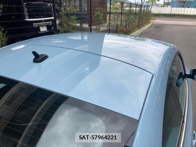 VolksWagen THE BEETLE 2013-01 8746891-4