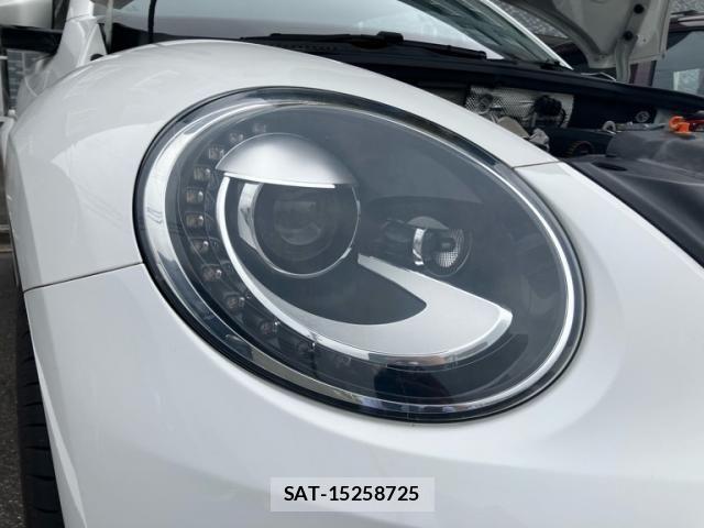 VolksWagen THE BEETLE 2013-06 8782639-11