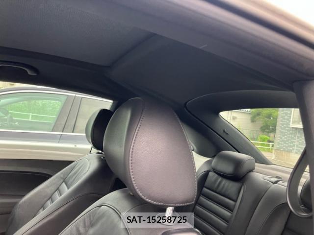 VolksWagen THE BEETLE 2013-06 8782639-7